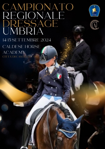 Dressage