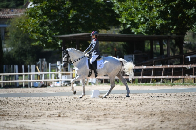 Dressage