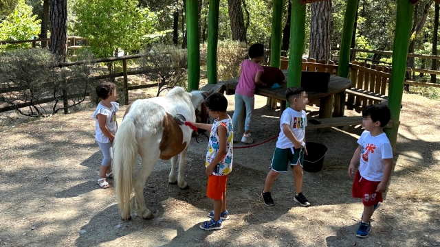 Riabilitazione Equestre