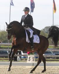 Dressage