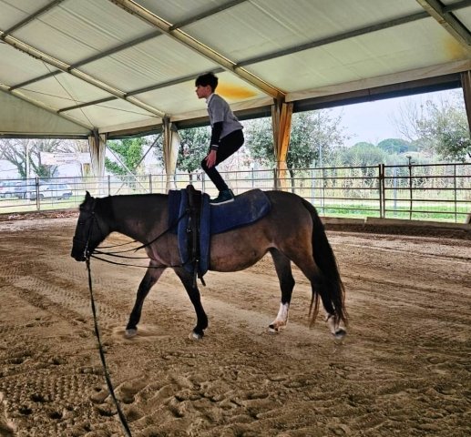 Riabilitazione Equestre