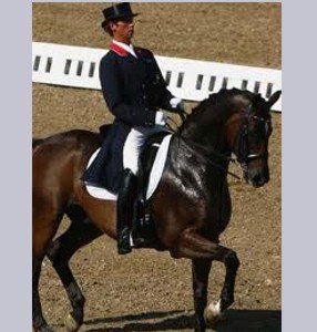 Dressage